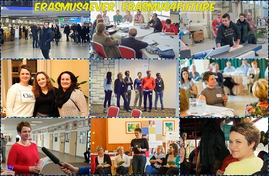 erasmus
